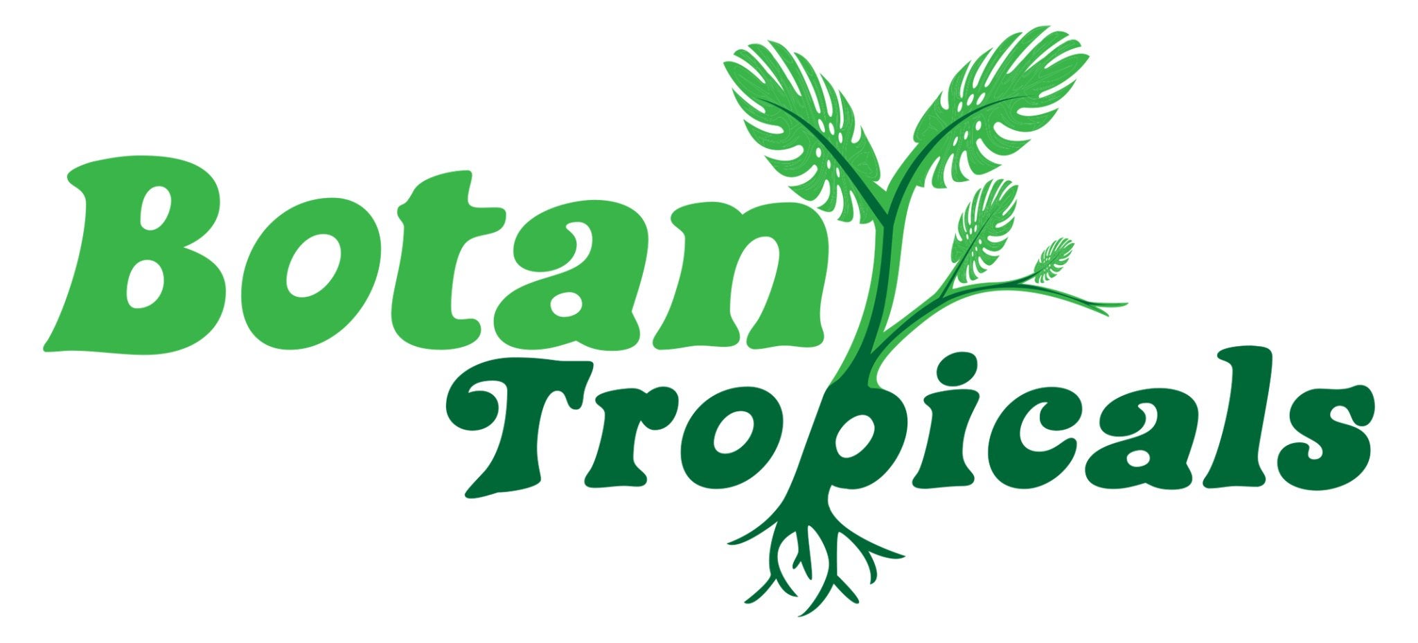 Home Botany Tropicals